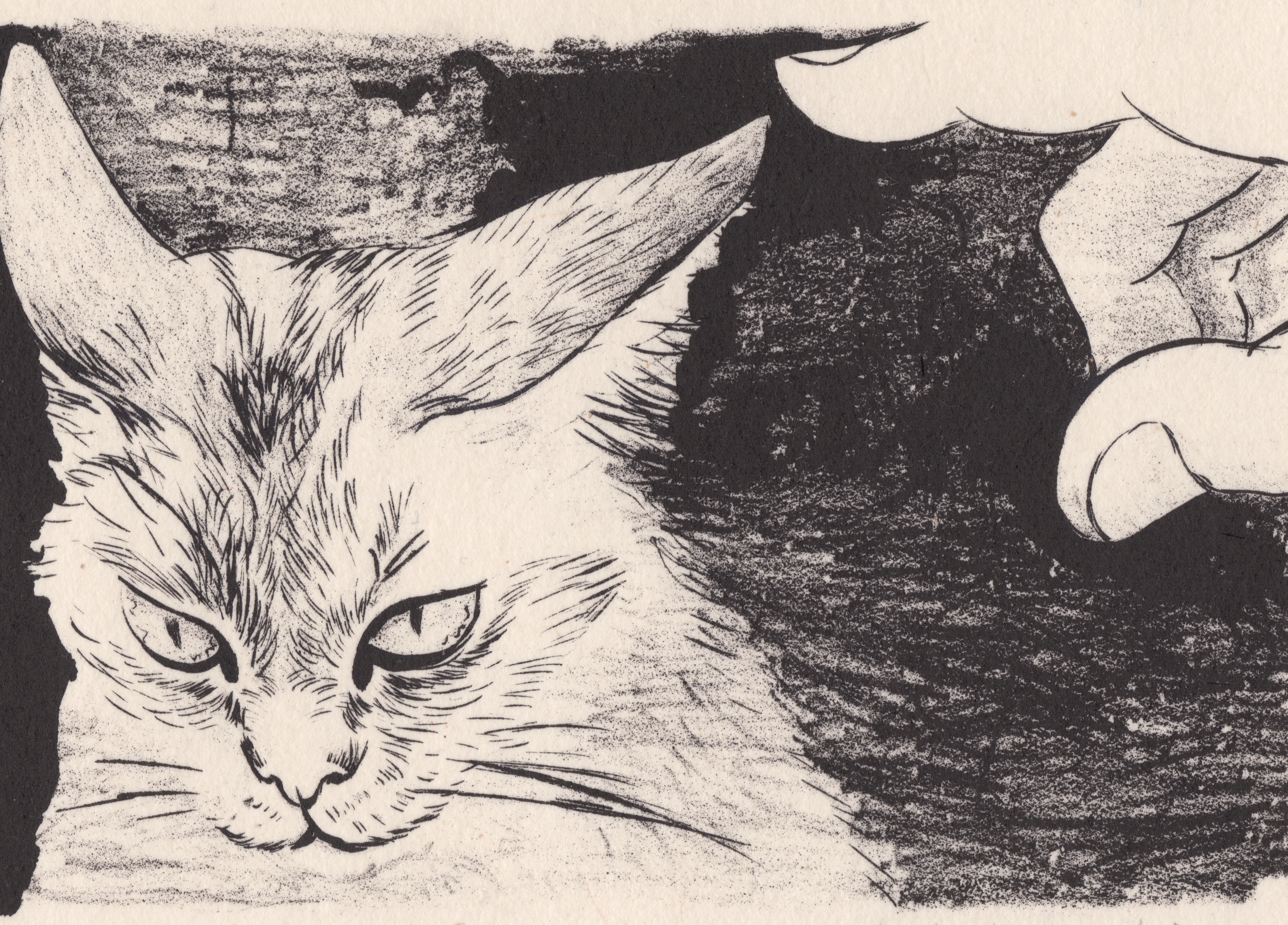 猫の版画