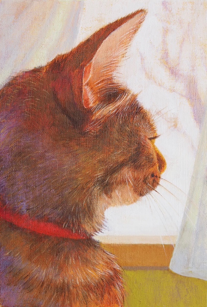 猫の絵
