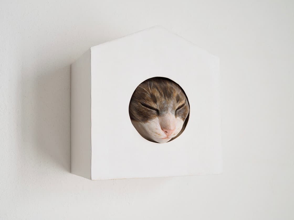 矢吹多歌子作品