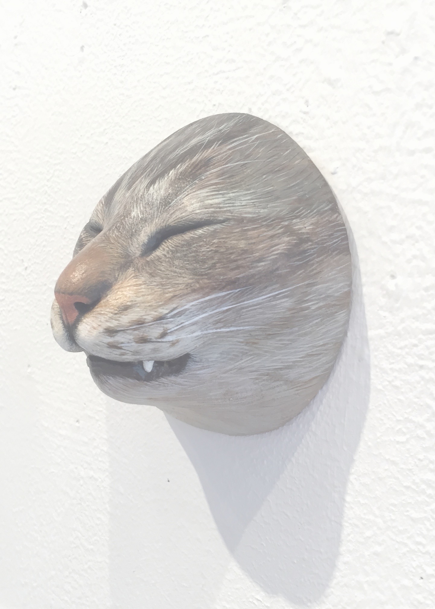 矢吹多歌子作品