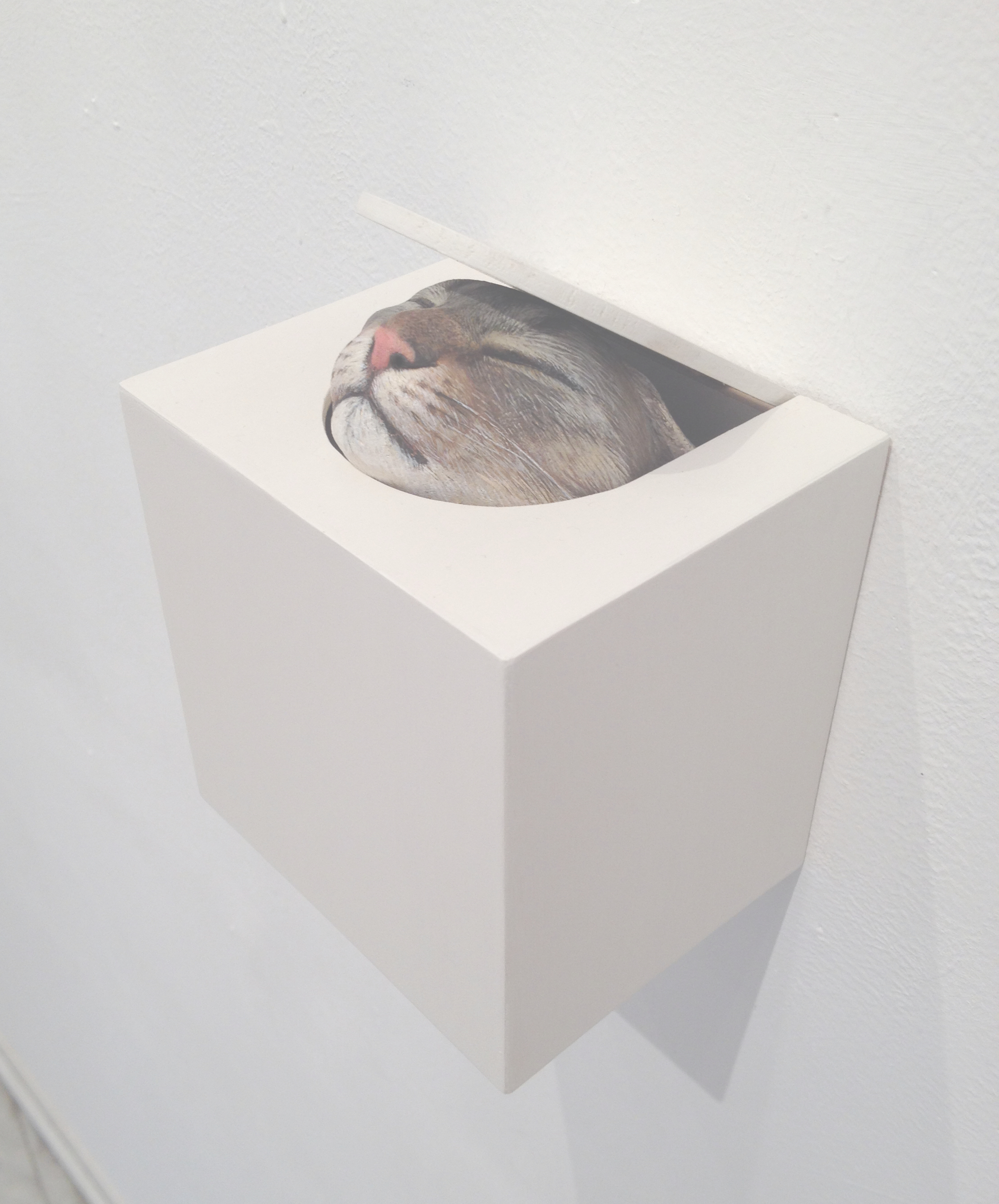 矢吹多歌子作品