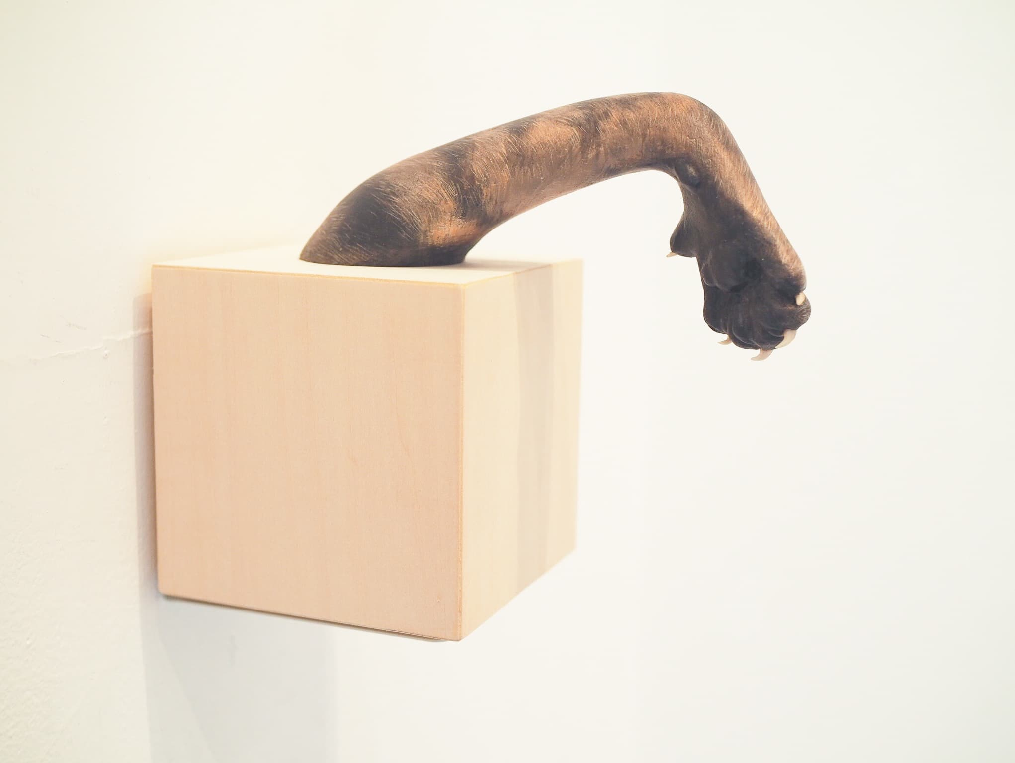 矢吹多歌子作品