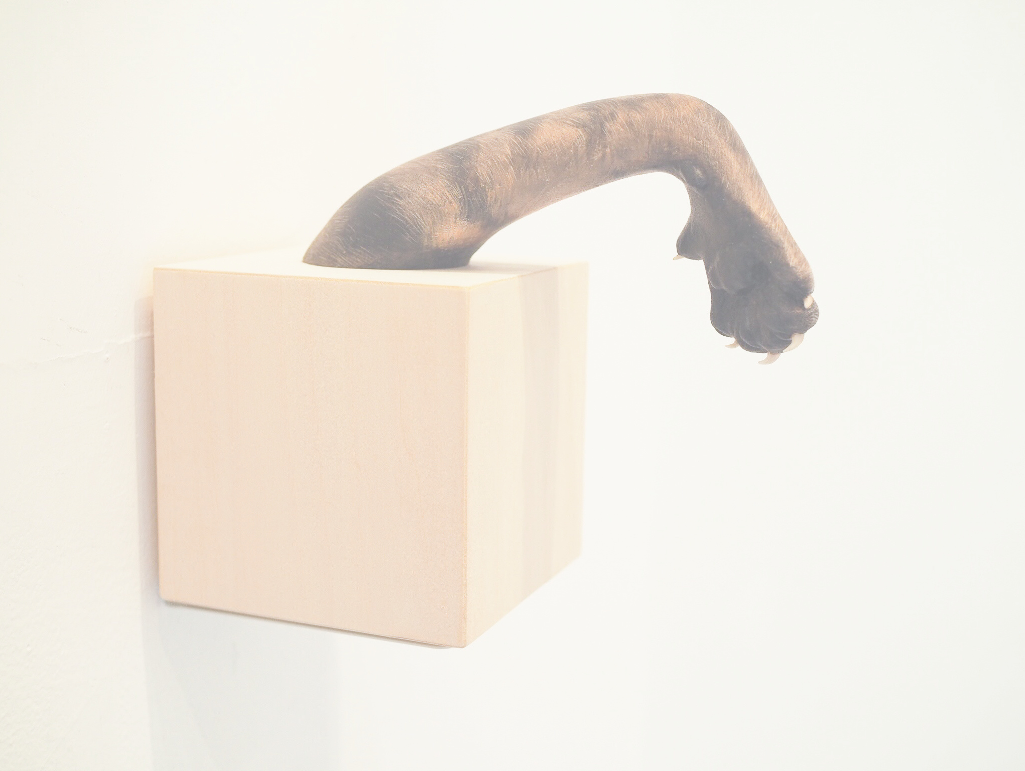 矢吹多歌子作品